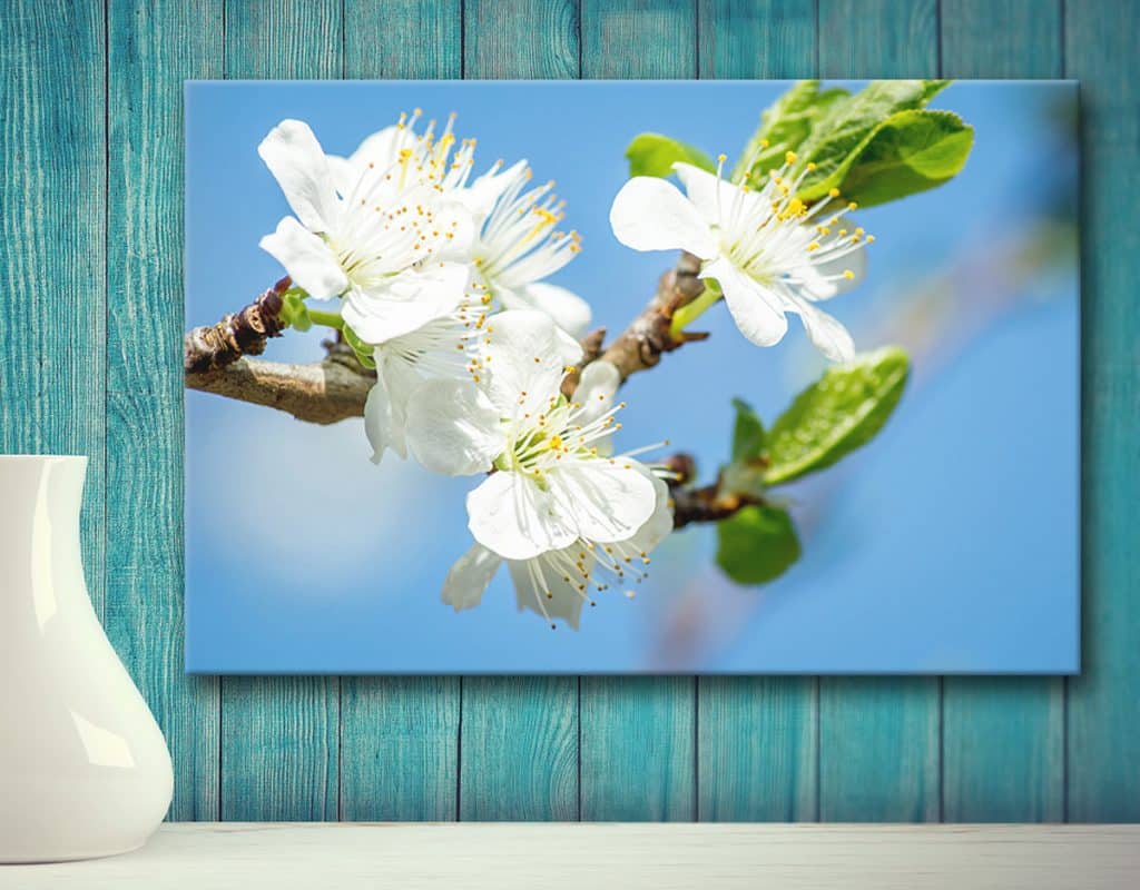 Canvas prints Thetford photography