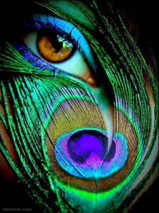 peacock eye studio collaboration shoot